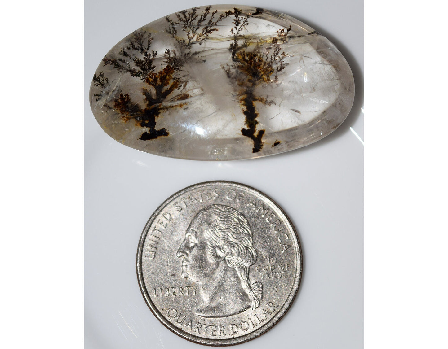 Trees in winter - dendritic Quartz gem