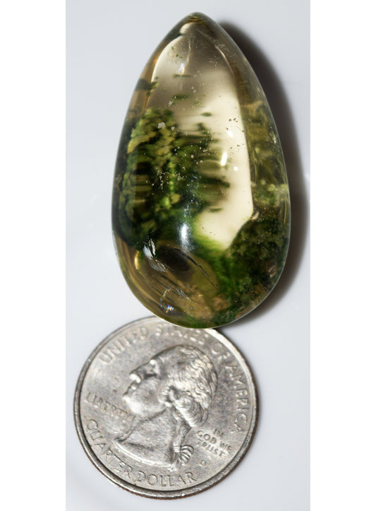 Undersea garden in Quartz. A lovely lodolite!