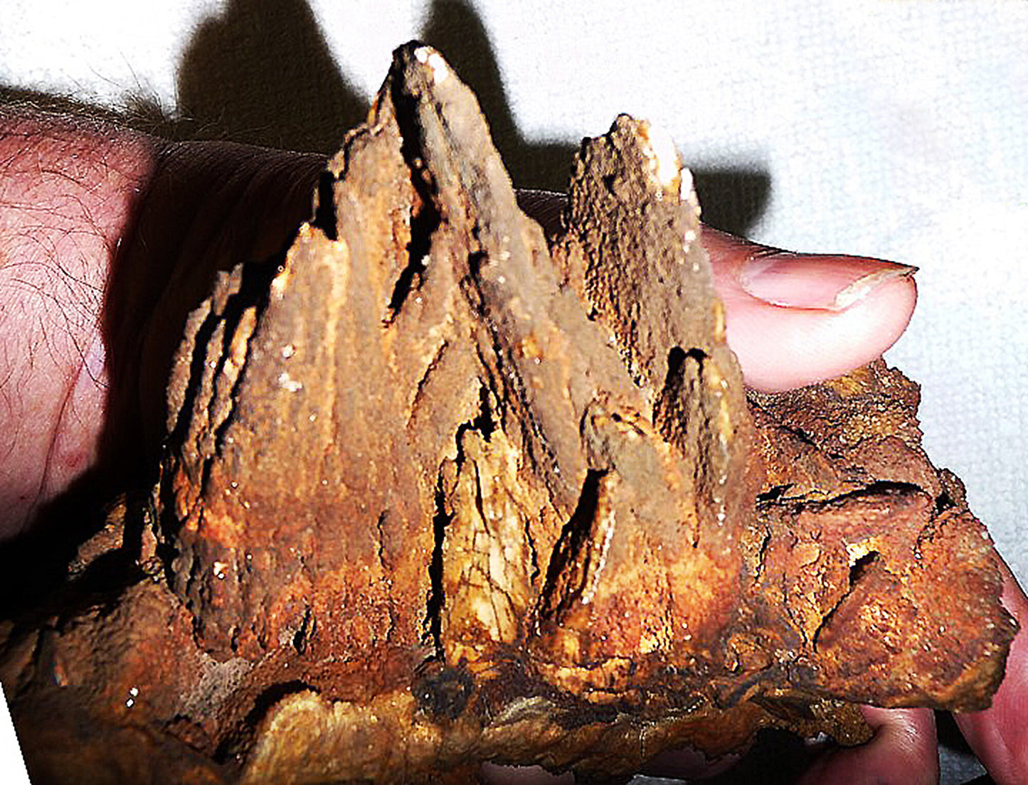 Cabinet sized Barite mineral specimen ? a classic from the Blackwell Pit, Tiff, Washington County, Missouri