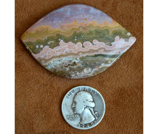 EXTREMELY RARE! HUGE Ocean Jasper collector's gem from decades ago! Stone #1 of 6