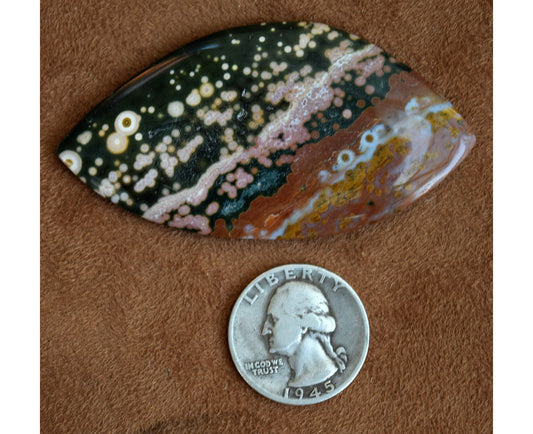 EXTREMELY RARE! HUGE Ocean Jasper collector's gem from decades ago! Stone #2 of 6