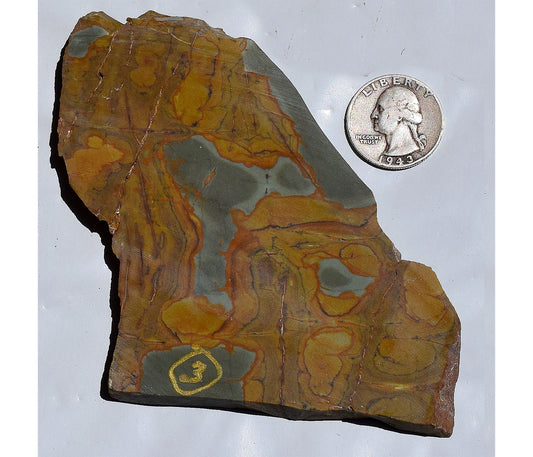 Oregon Wild Horse Picture Jasper slab. #3 of 7