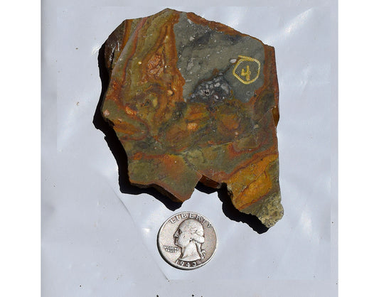 Oregon Wild Horse Picture Jasper slab. #4 of 7