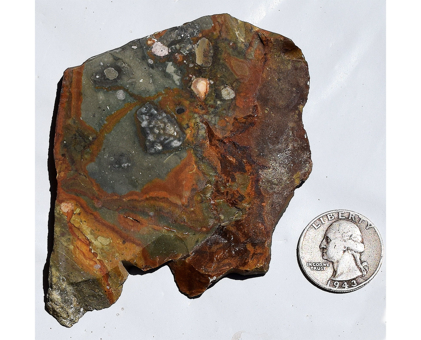 Oregon Wild Horse Picture Jasper slab. #4 of 7