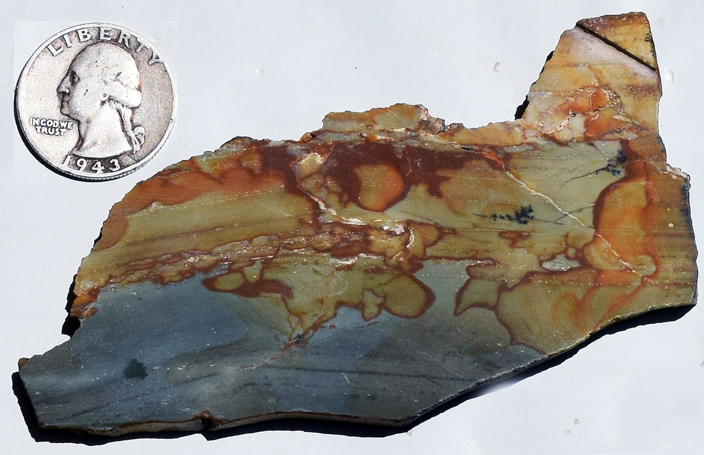 Oregon Wild Horse Picture Jasper slab. #5 of 7