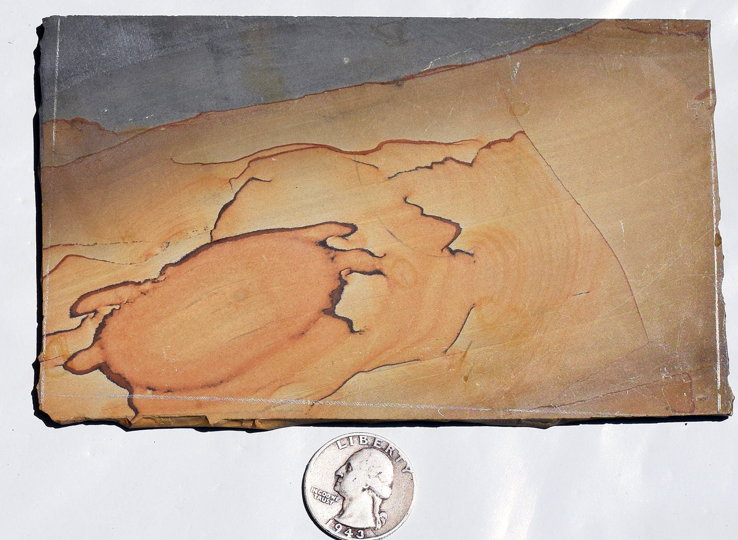 Oregon Rocky Butte Picture Jasper slab. #7 of 7