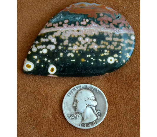 EXTREMELY RARE! HUGE Ocean Jasper collector's gem from decades ago! Stone #5 of 6
