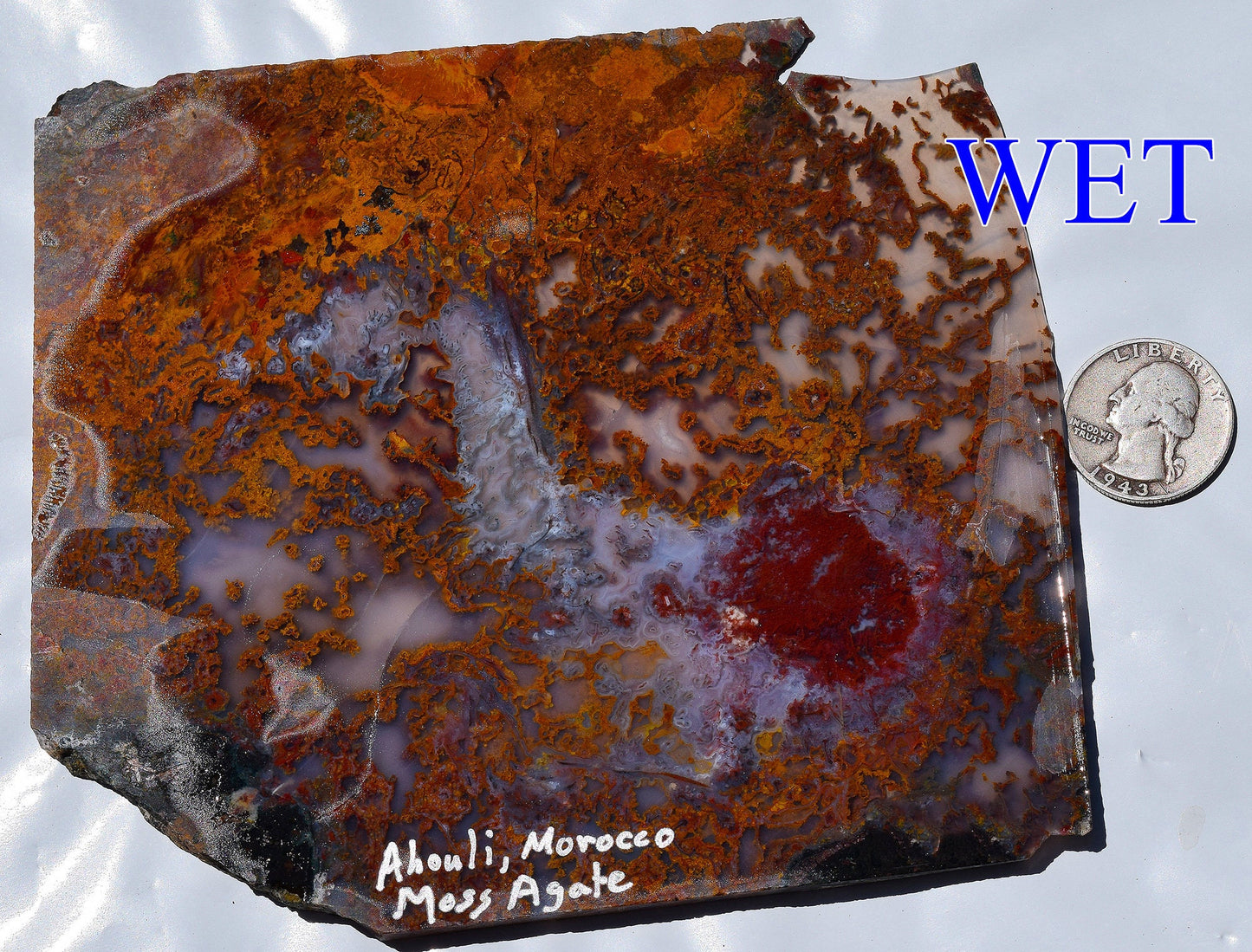 Rare, multi-colored moss agate from the Ahouli beds in Morocco. #3