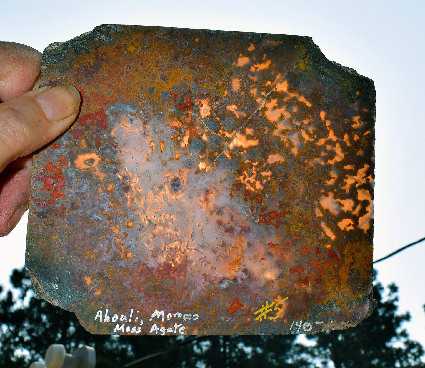 Rare, multi-colored moss agate from the Ahouli beds in Morocco. #5