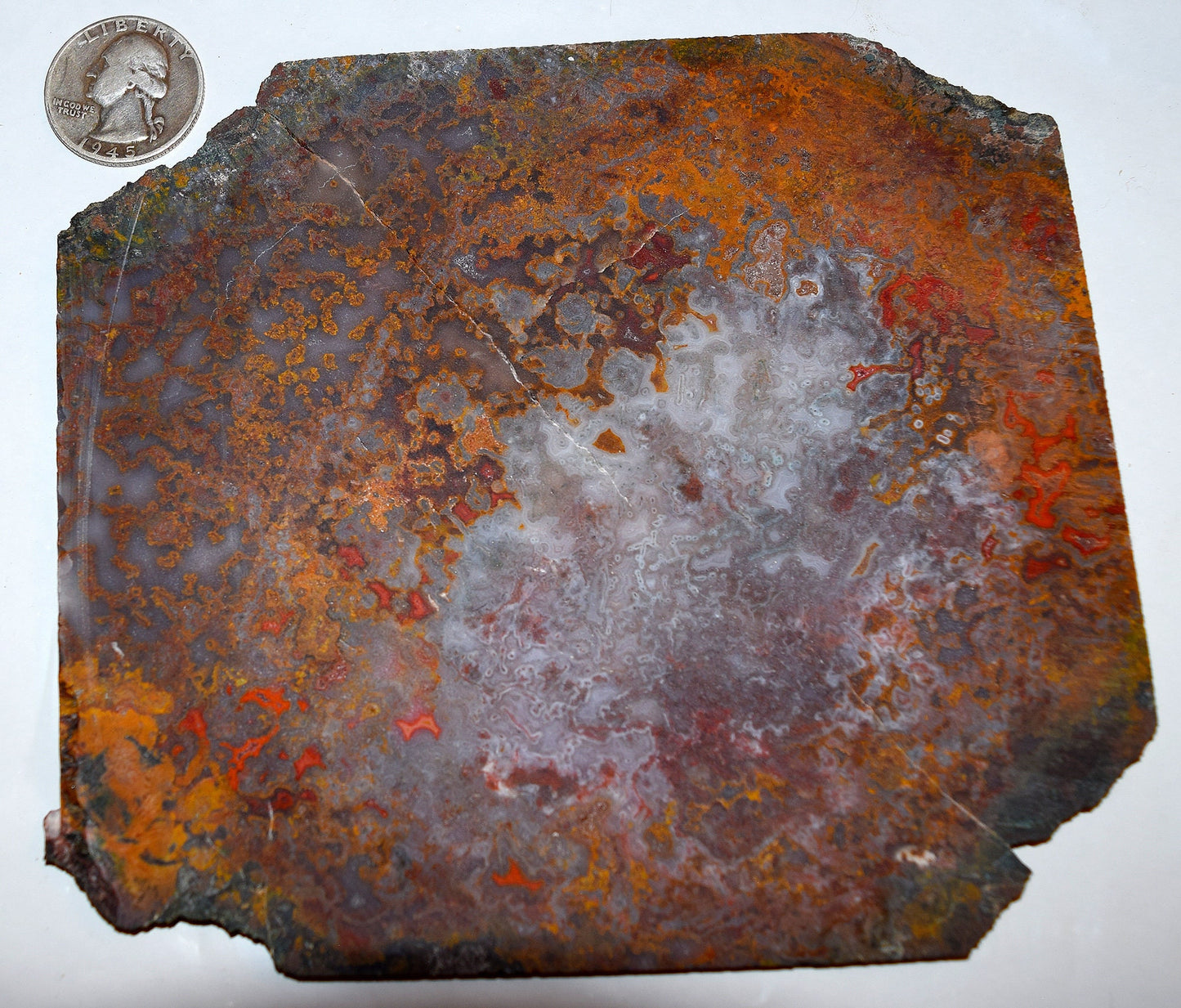 Rare, multi-colored moss agate from the Ahouli beds in Morocco. #8