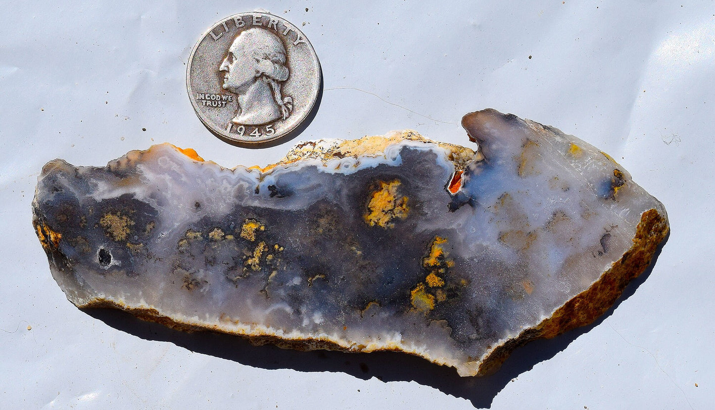 Graveyard Point Plume Agate Group # 2
