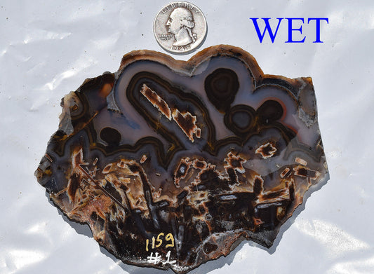 High grade Turkish stick agate - Slab #1