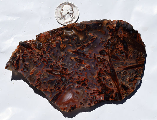 High grade Turkish stick agate. Slab #4