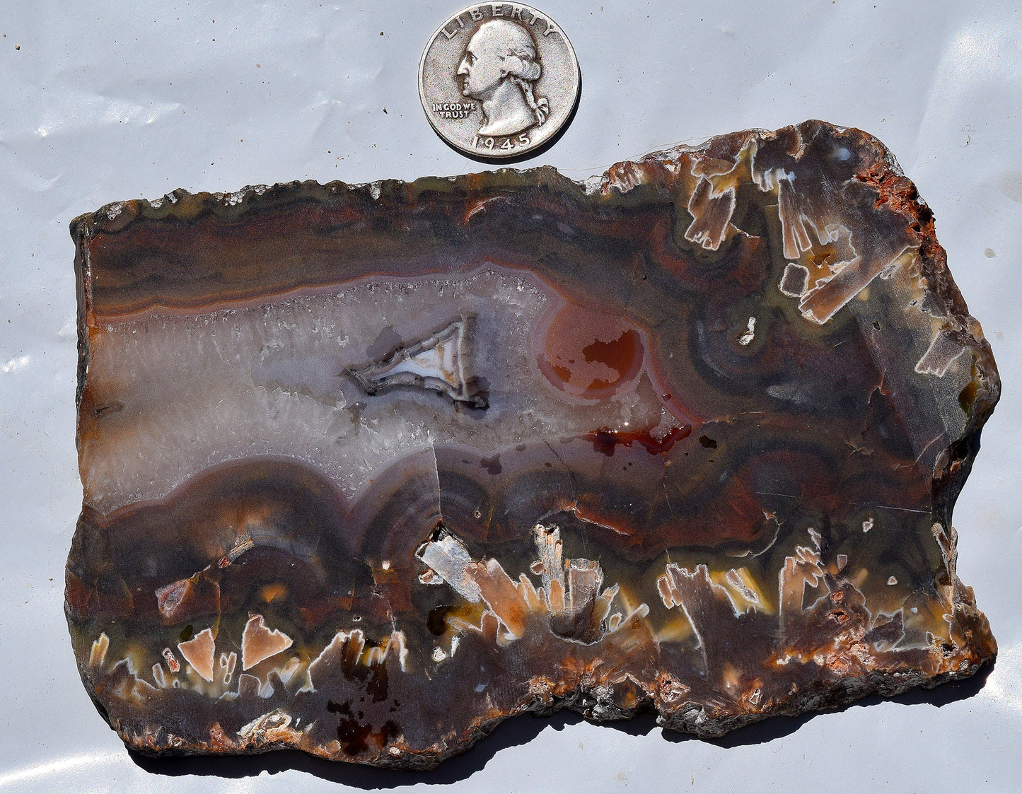 High grade Turkish stick agate. Slab #5