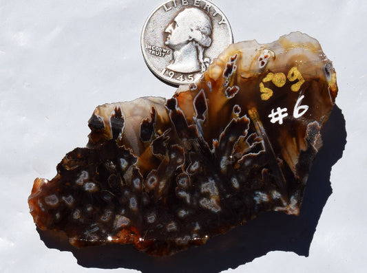 High grade Turkish stick agate. Slab #6
