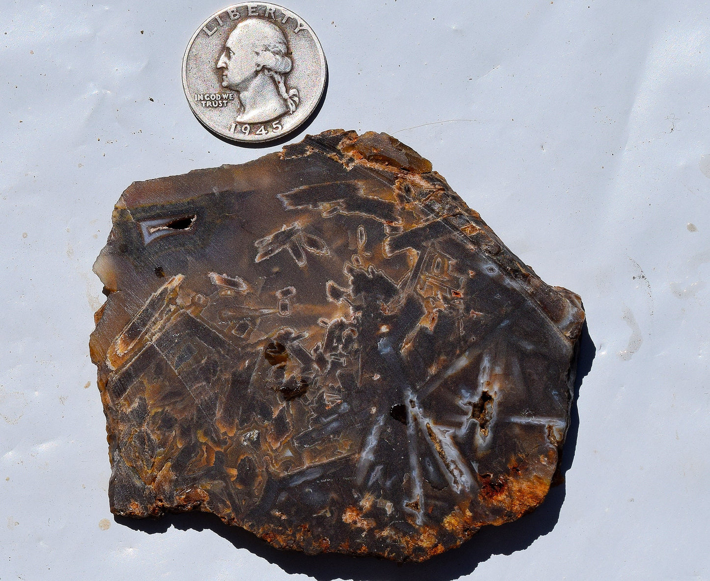 High grade Turkish stick agate. Slab #7