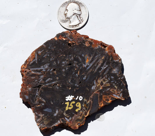 High grade Turkish stick agate. Slab #10