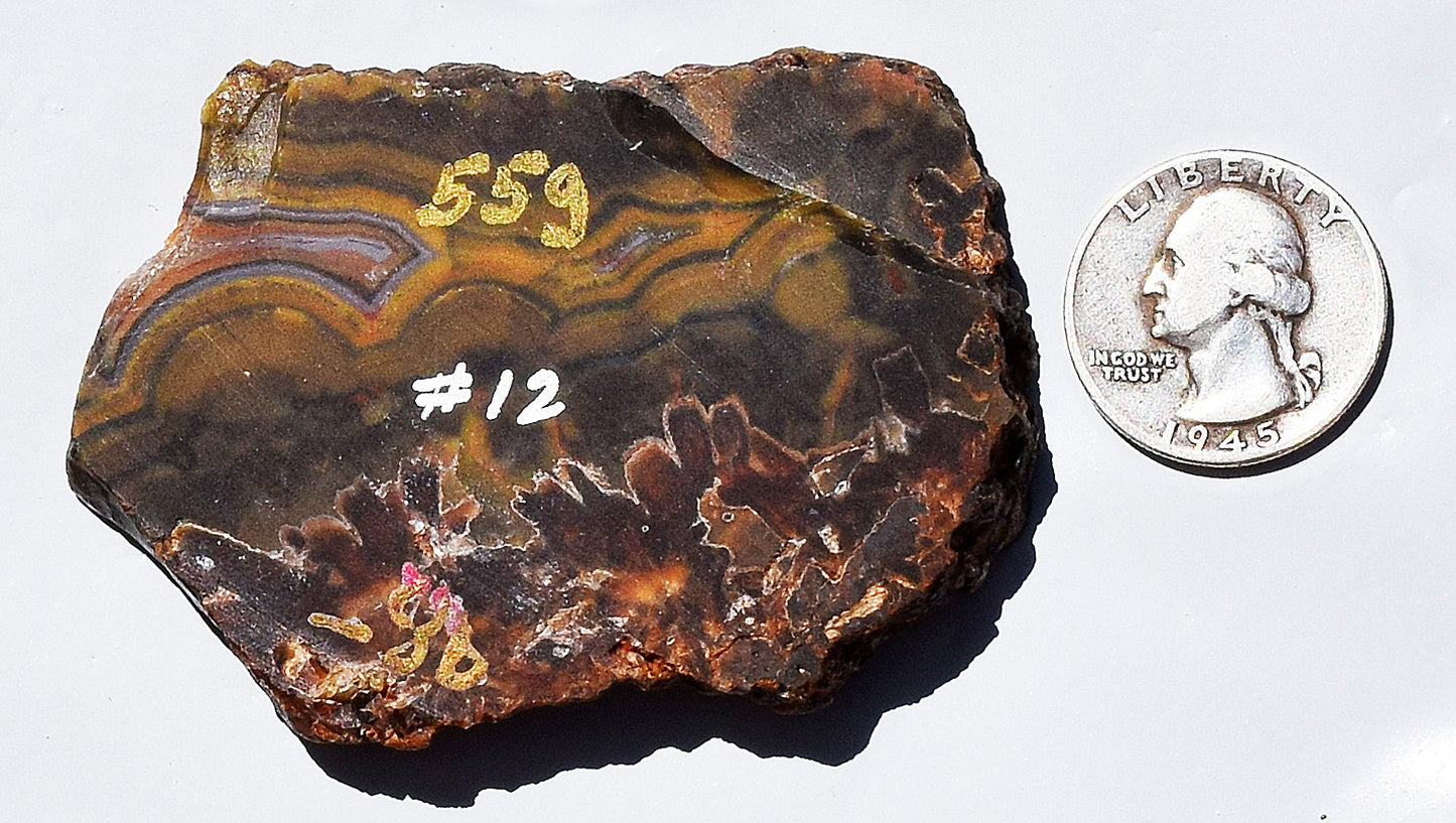 High grade Turkish stick agate. Slab #12