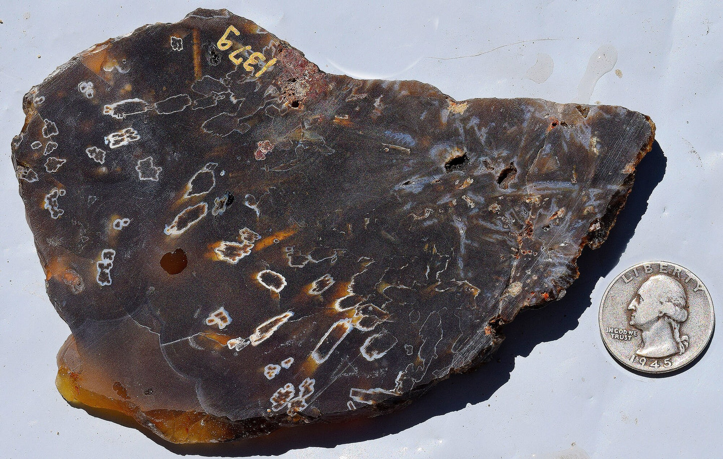 High grade Turkish stick agate. Slab #21