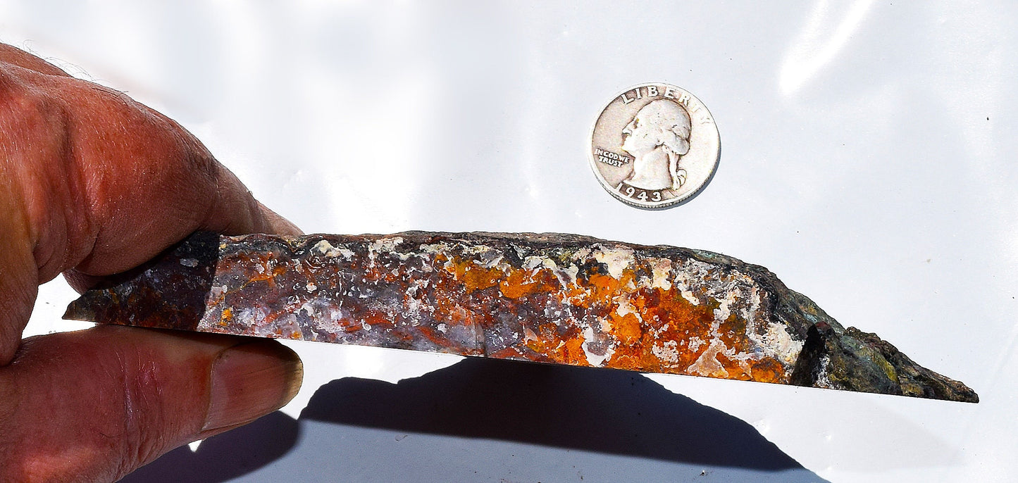 Rare, multi-colored moss agate from the Ahouli beds in Morocco. #7