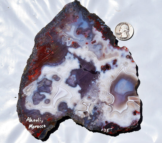 Moroccan Ghost Agate from the Ahouli region. Collector slab #1