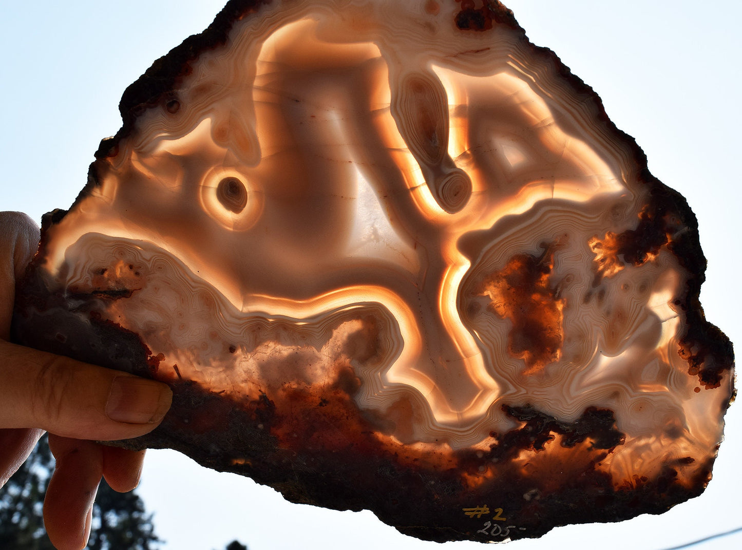 Moroccan Ghost Agate from the Ahouli region. Collector slab #2