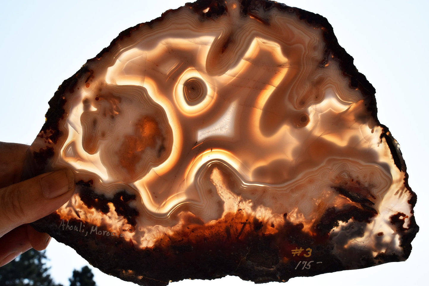 Moroccan Ghost Agate from the Ahouli region. Collector slab #3