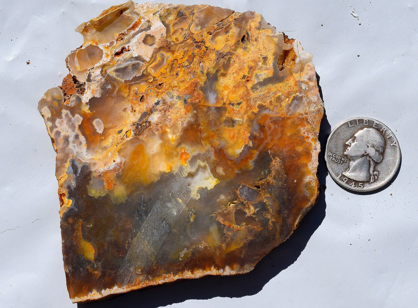 Graveyard Point Plume Agate - Group #1
