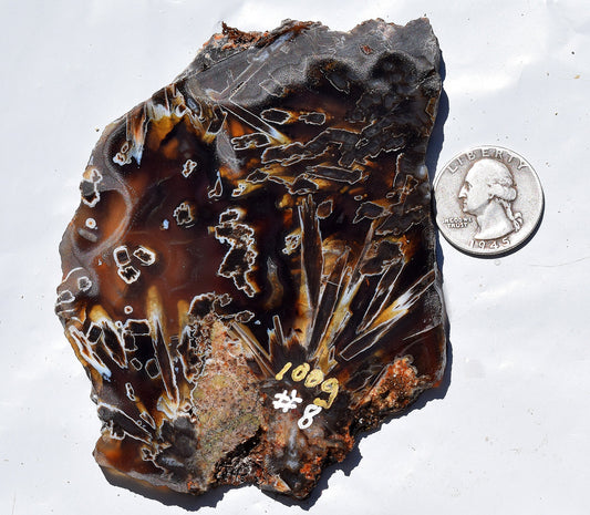 High grade Turkish stick agate. Slab #8
