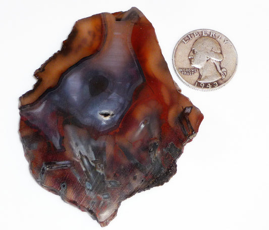 TOP GEM! Highest quality of Turkish Stick Agate! Slab #2 of 6