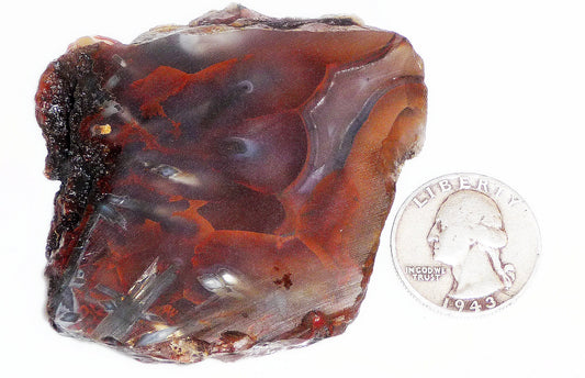 TOP GEM! Highest quality of Turkish Stick Agate! Slab #2 of 6