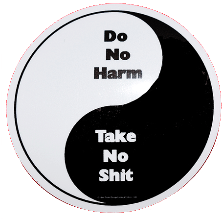 Do No Harm / Take No Shit Sticker Bundle