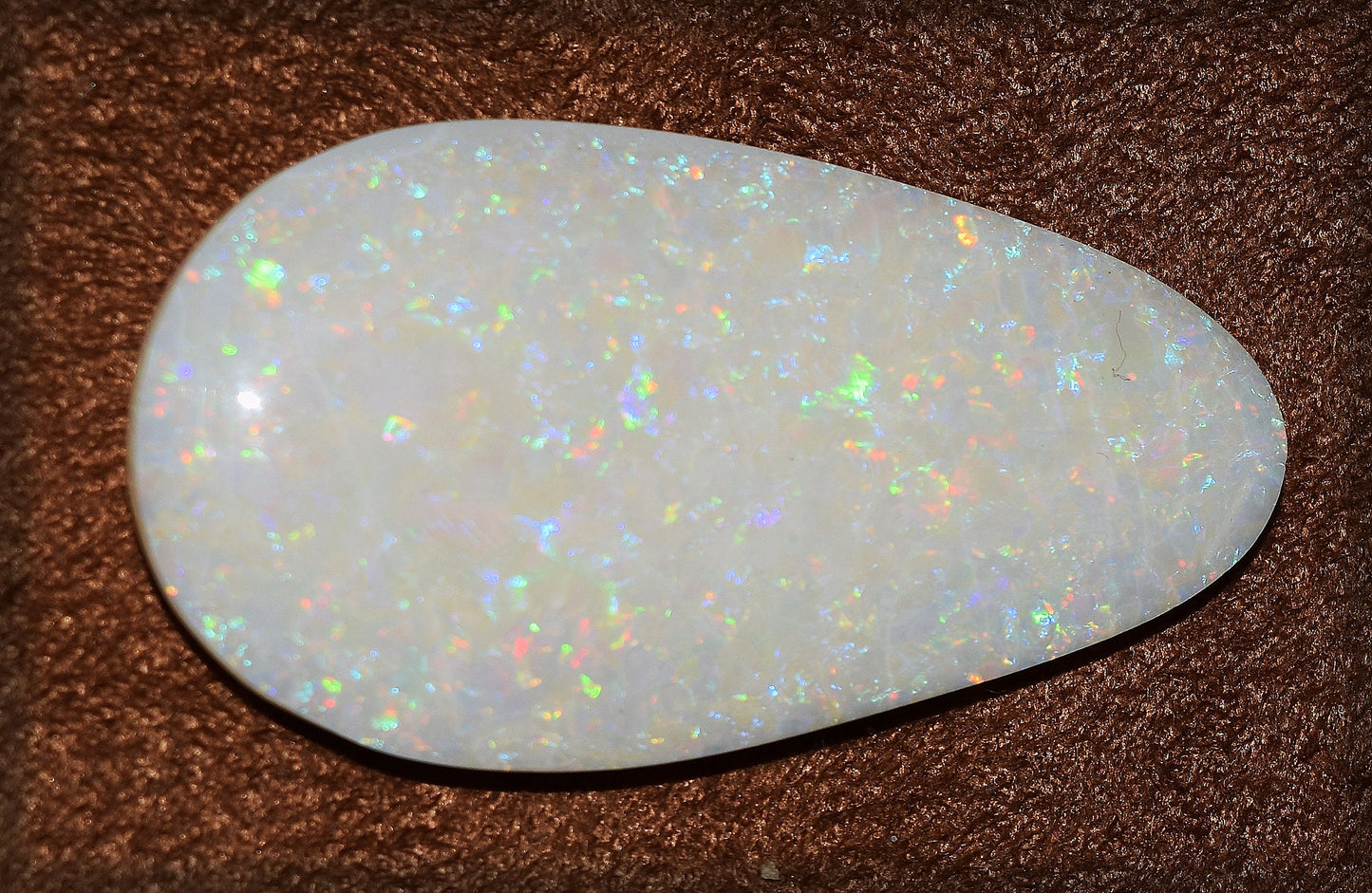 LOVE OPALS? Here is a MONSTER 39.28 carat gem with full, vibrant color - truly world class!
