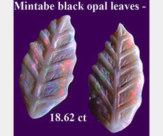 Black is BEAUTIFUL! Especially in Opals! 18.62 carats of Black Opal carved leaves from Mintabe, Australia!