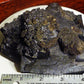 HUMONGOUS! Giant Galena specimen - over 2 Kilos - nearly FIVE pounds!!  Sweetwater Mine, Reynolds County, Missouri