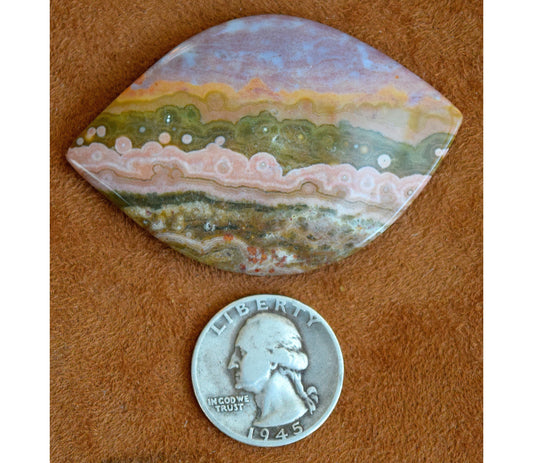 EXTREMELY RARE! HUGE Ocean Jasper collector&#39;s gem from decades ago! Stone #1 of 6