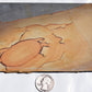 Oregon Rocky Butte Picture Jasper slab. #7 of 7