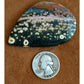 EXTREMELY RARE! HUGE Ocean Jasper collector&#39;s gem from decades ago! Stone #5 of 6