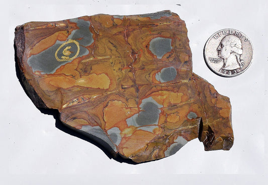 Oregon Wild Horse Picture Jasper slab. #6 of 7