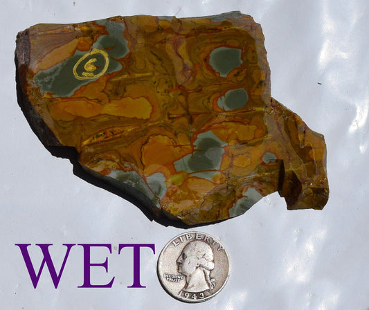 Oregon Wild Horse Picture Jasper slab. #6 of 7