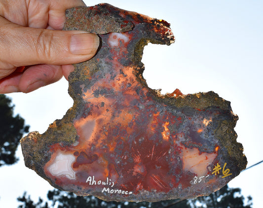 Rare, multi-colored moss agate from the Ahouli beds in Morocco.  #6