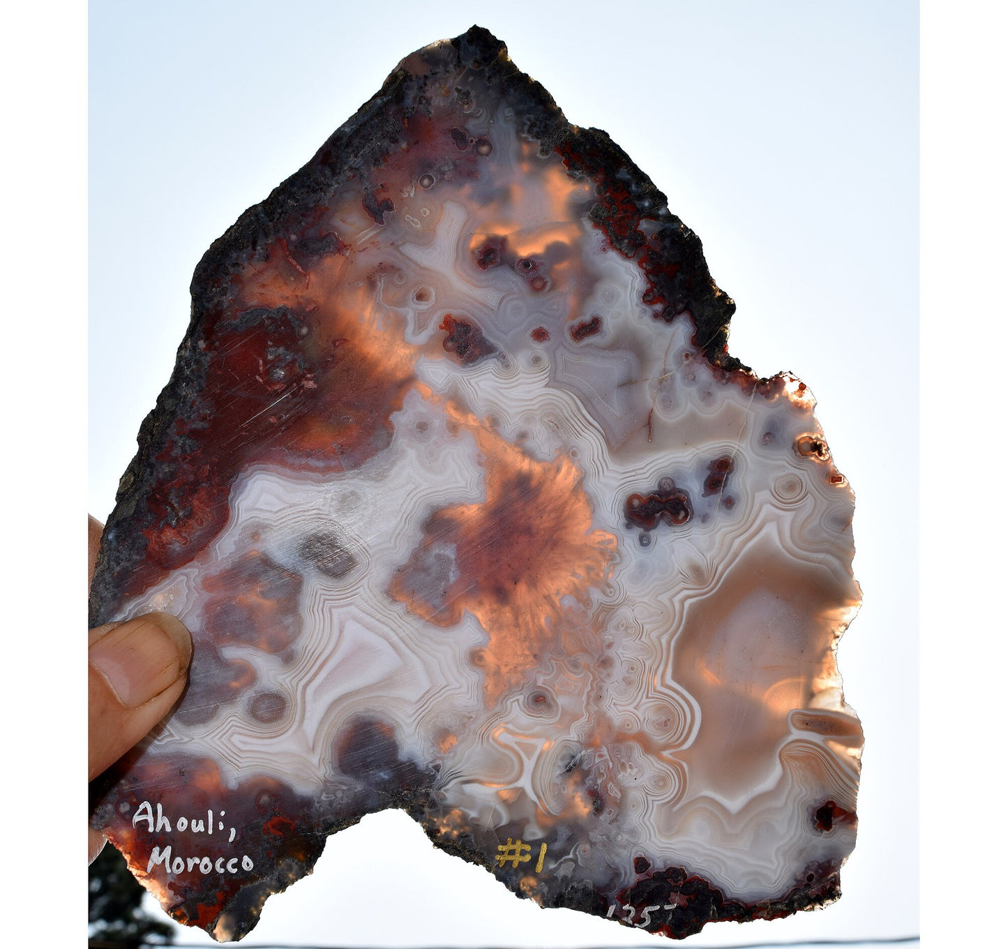 Moroccan Ghost Agate from the Ahouli region. Collector slab #1