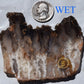 Graveyard Point Plume Agate Group # 2