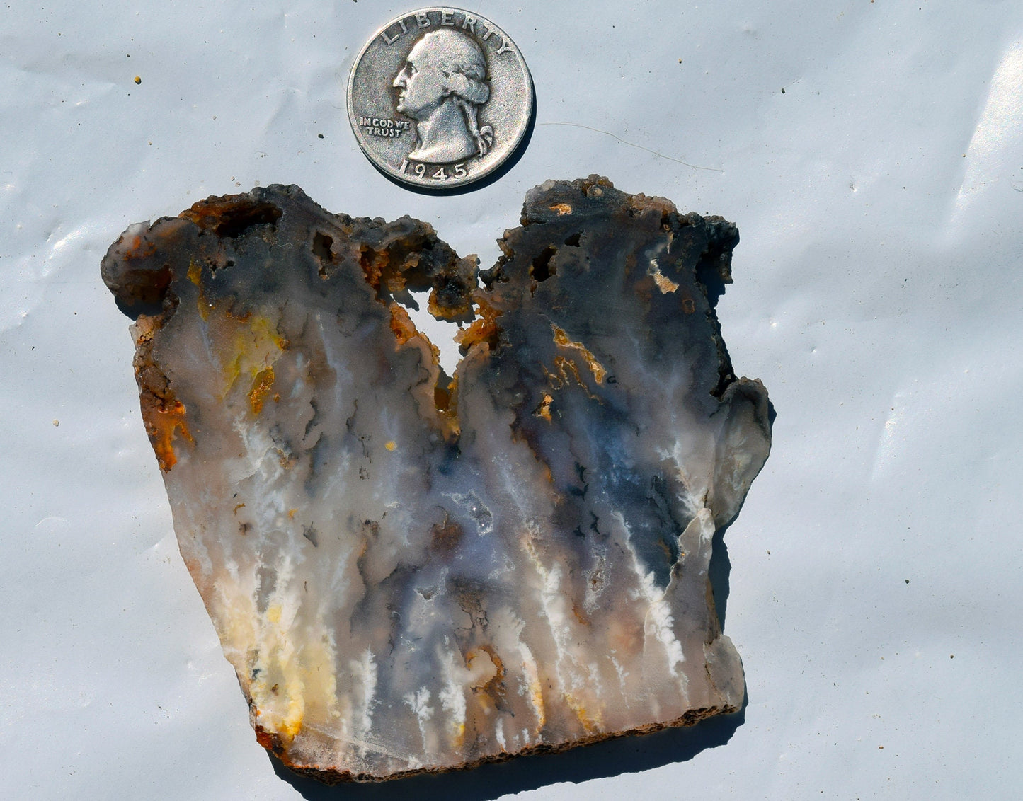 Graveyard Point Plume Agate group #3