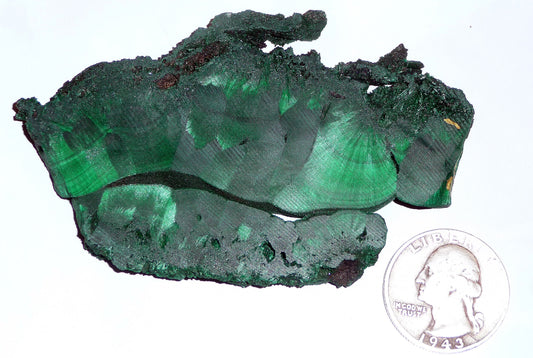 RARE! Satin Malachite slab #1