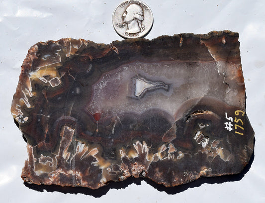 High grade Turkish stick agate. Slab #5