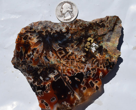 High grade Turkish stick agate. Slab #9