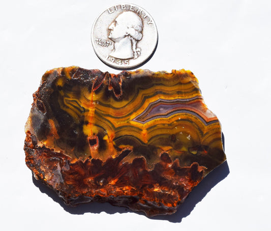 High grade Turkish stick agate. Slab #12