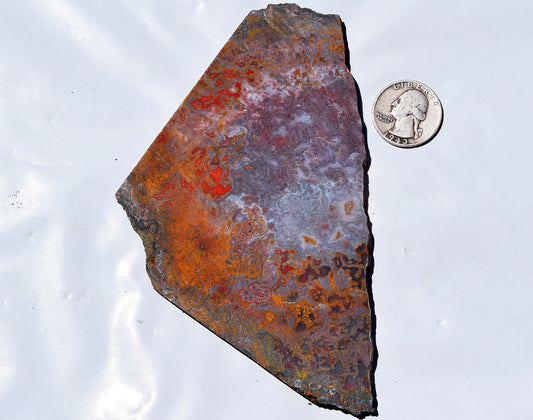 Rare, multi-colored moss agate from the Ahouli beds in Morocco. #4