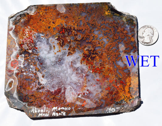 Rare, multi-colored moss agate from the Ahouli beds in Morocco. #5